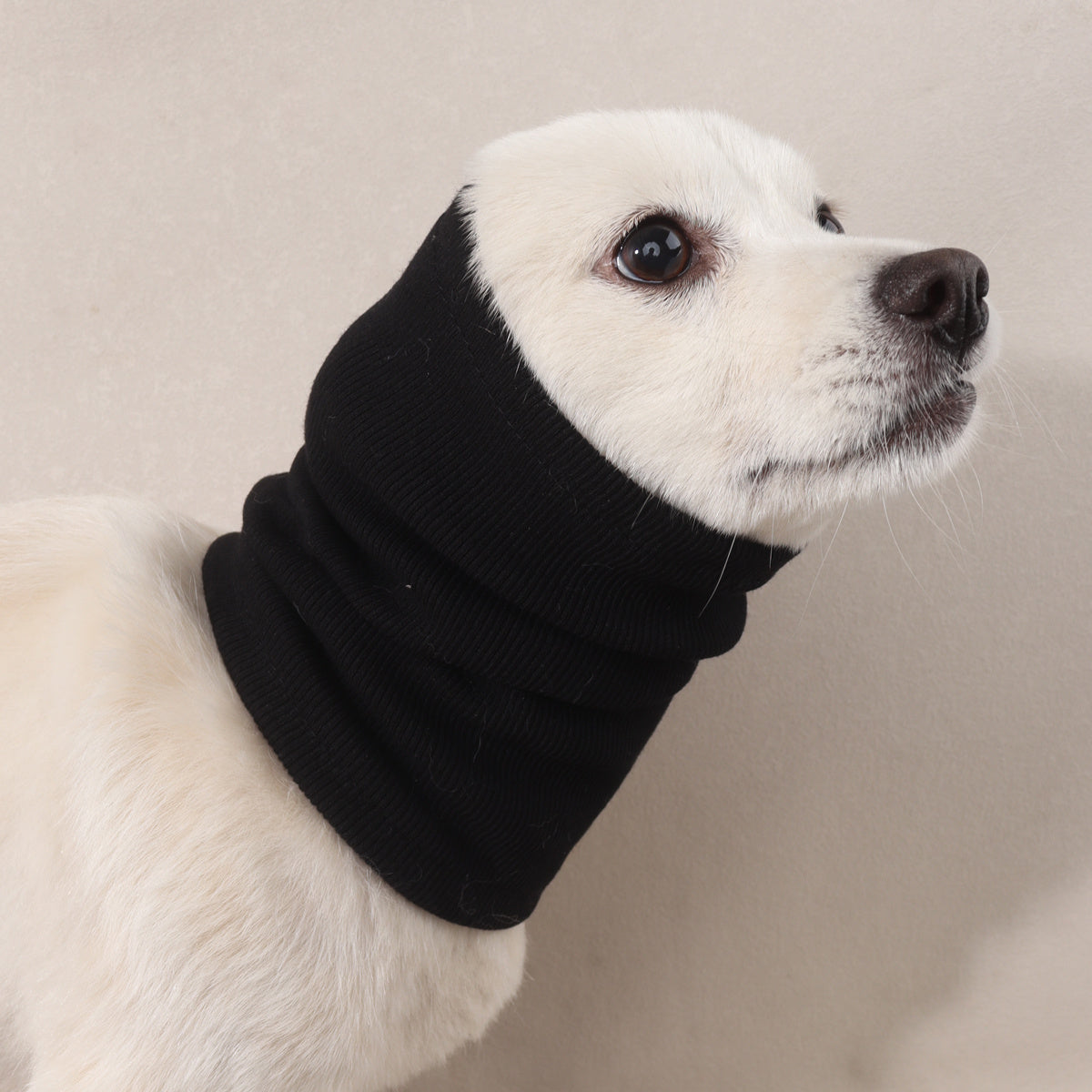 Dog Protective Headwear, Calm Your Dog Instantly With This Stylish Dog Snood Earmuff
